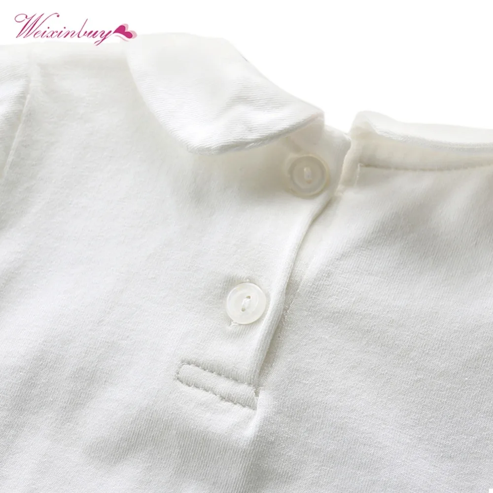 XL1743 (10)