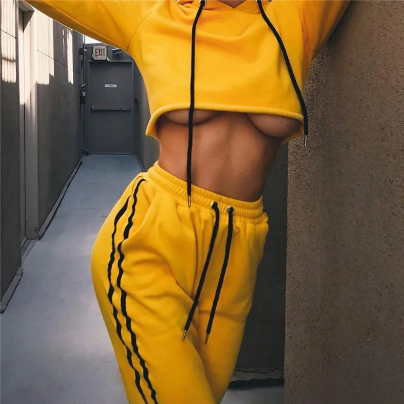 PA0016Y 
