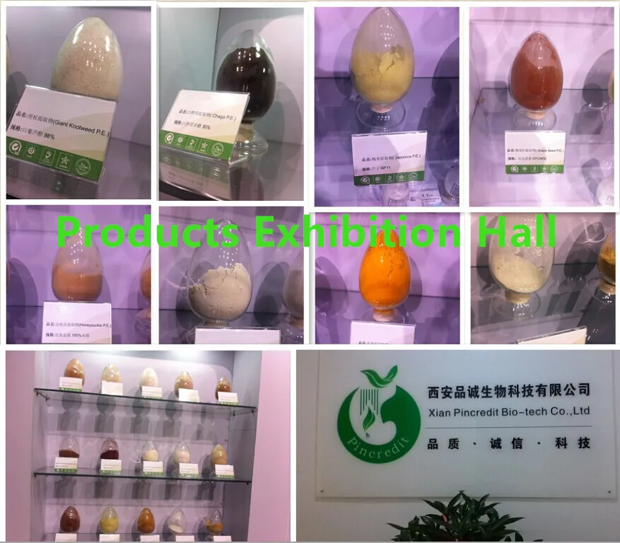 Organic Chia Seeds/Chia Seeds/Chia Seed Extract Powder