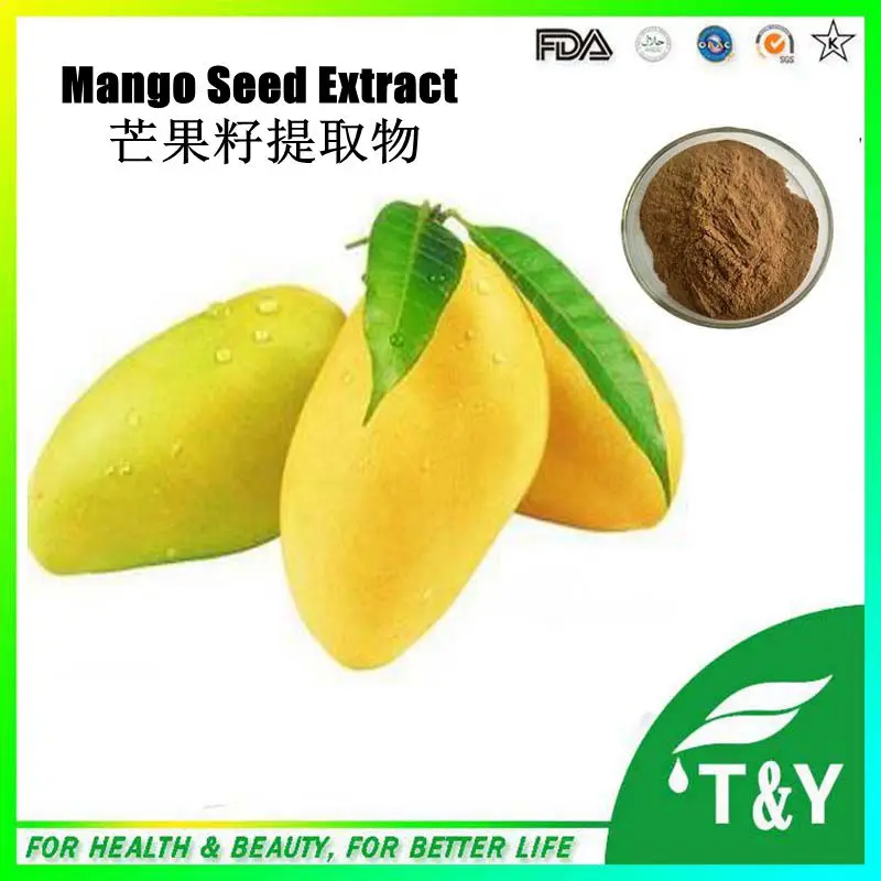 

GMP&ISO Weight lose supplement dried Mango seed Extract 1KG/LOT FREE SHIPPING