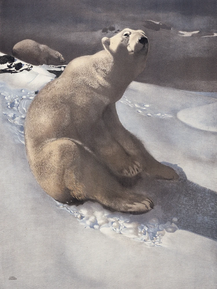 

vintage posters hand drawing prints on canvas scenery painting decorative wall art animal picture polar bear on the ice