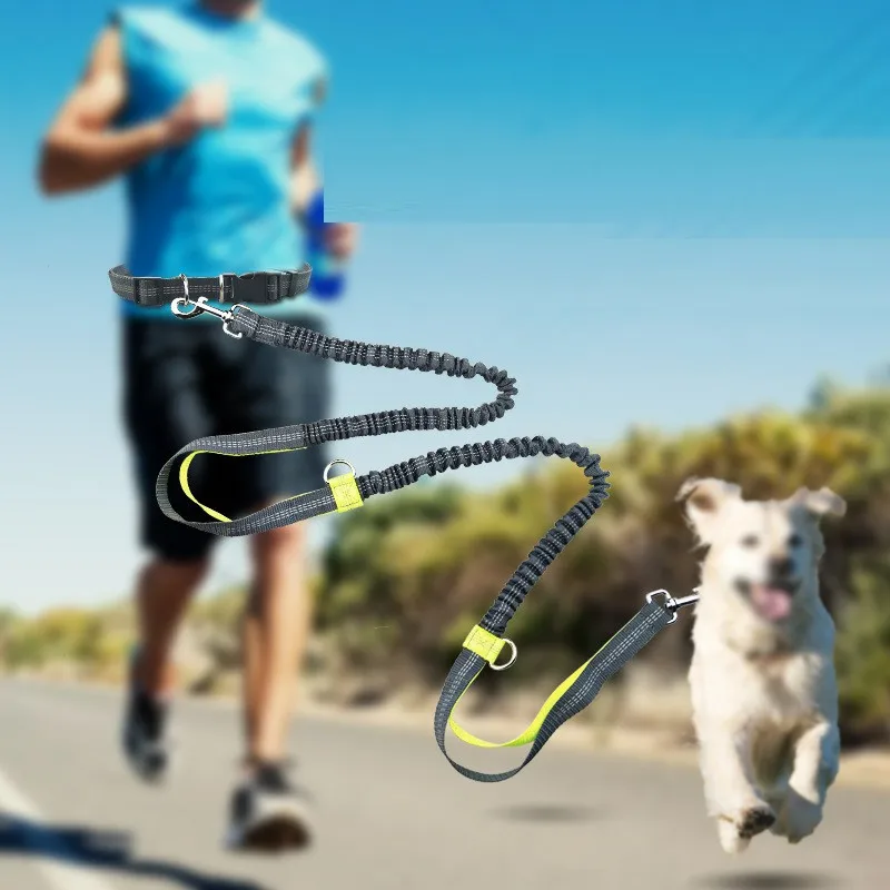 

Elastic Waist Dog Leash For Jogging Walking Pet Dog Product Adjustable Nylon Dog Leash With Reflective Strip hands free dog leas