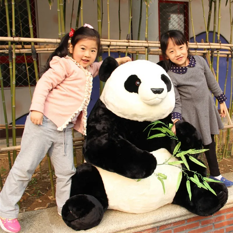 panda