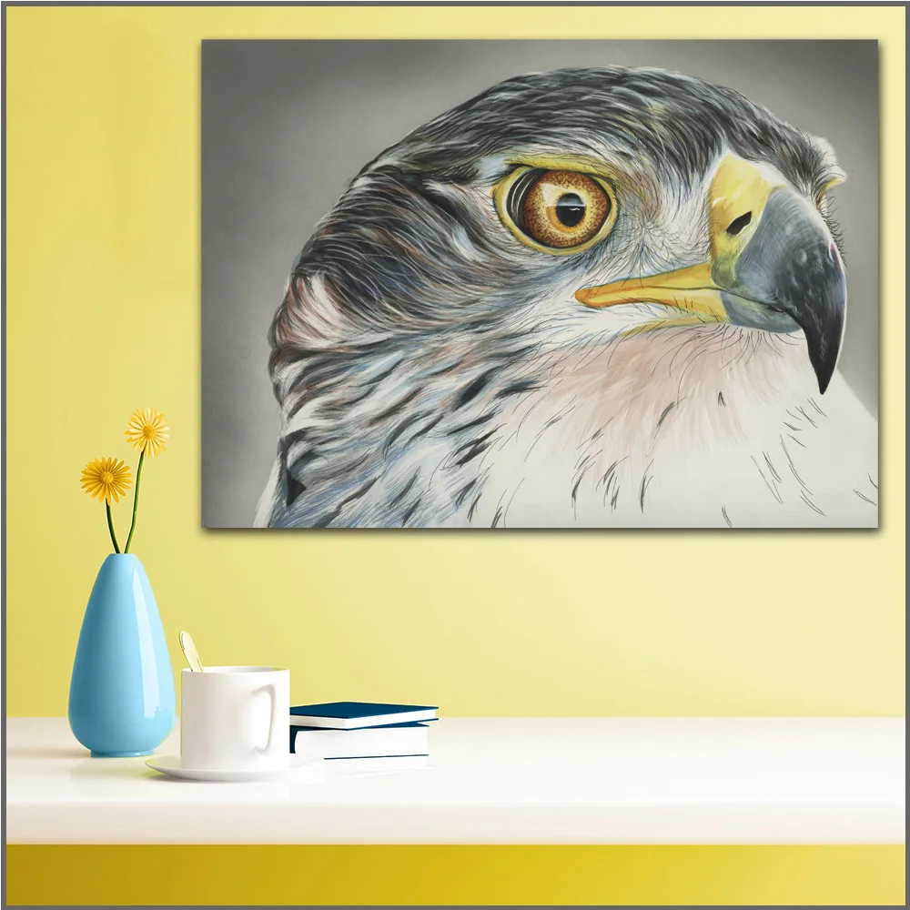 large size Printing Painting Art Birds Hawk Head Beak art Picture Home Decor Living Room Modern Canvas Print Paintings no frames | Дом и сад
