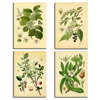 

4 Panel Yellow Green Nature Old Fashioned Botanical Plant Flowers Vintage Wall Art Abstract Print Canvas Home Decor Pictures