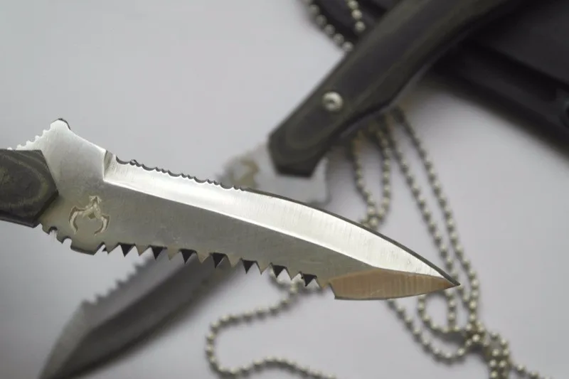 2668497117_1522135706