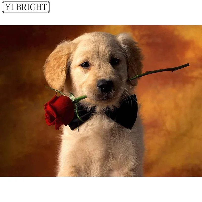 

5D DIY Full Square Diamond Painting Cross Stitch Dog biting a rose 3D Diamond Embroidery Rhinestone Mosaic Home Decoration