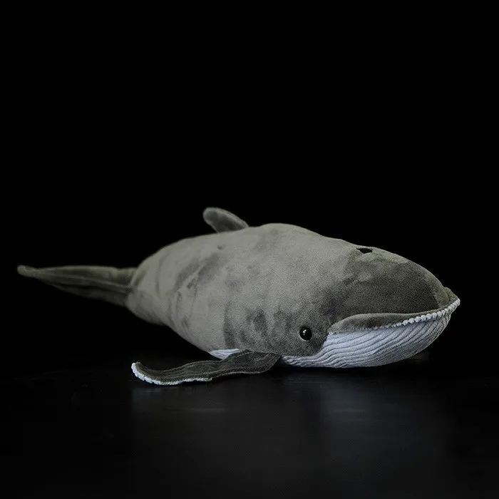 Balaenoptera rorquals кит плюшевые моделирование морские мягкие игрушки куклы