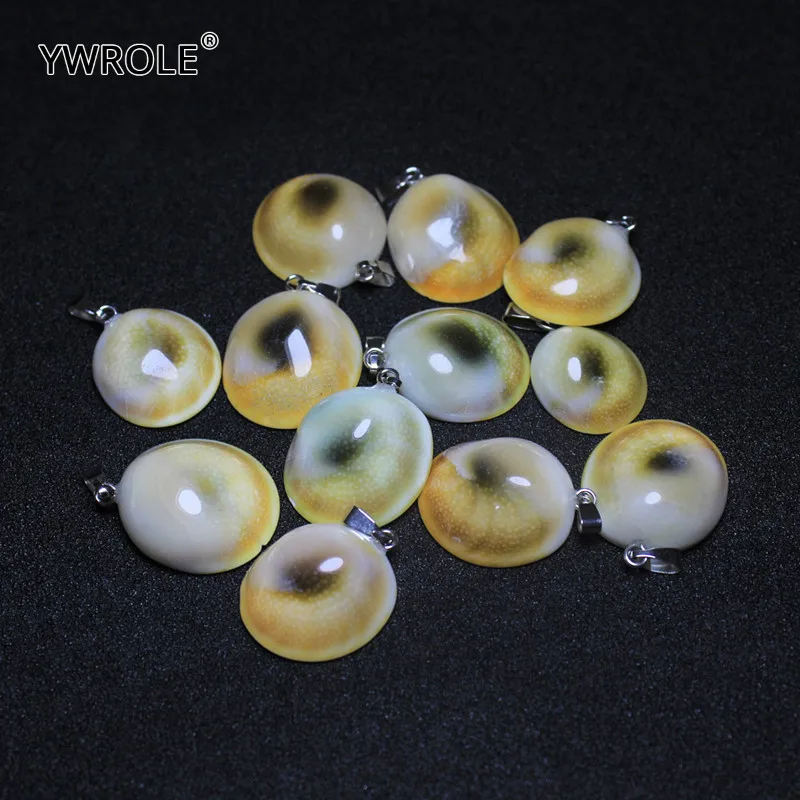 

12 PCS Boxed Wholesale Multi-style Irregular Shells fossil Natural Stone Charms Pendant Fit DIY Necklaces For Jewelry Making