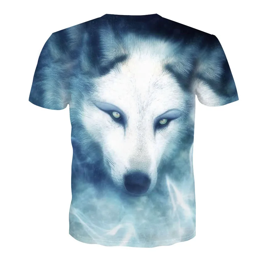 D-136-凯诚T恤短袖模板-后