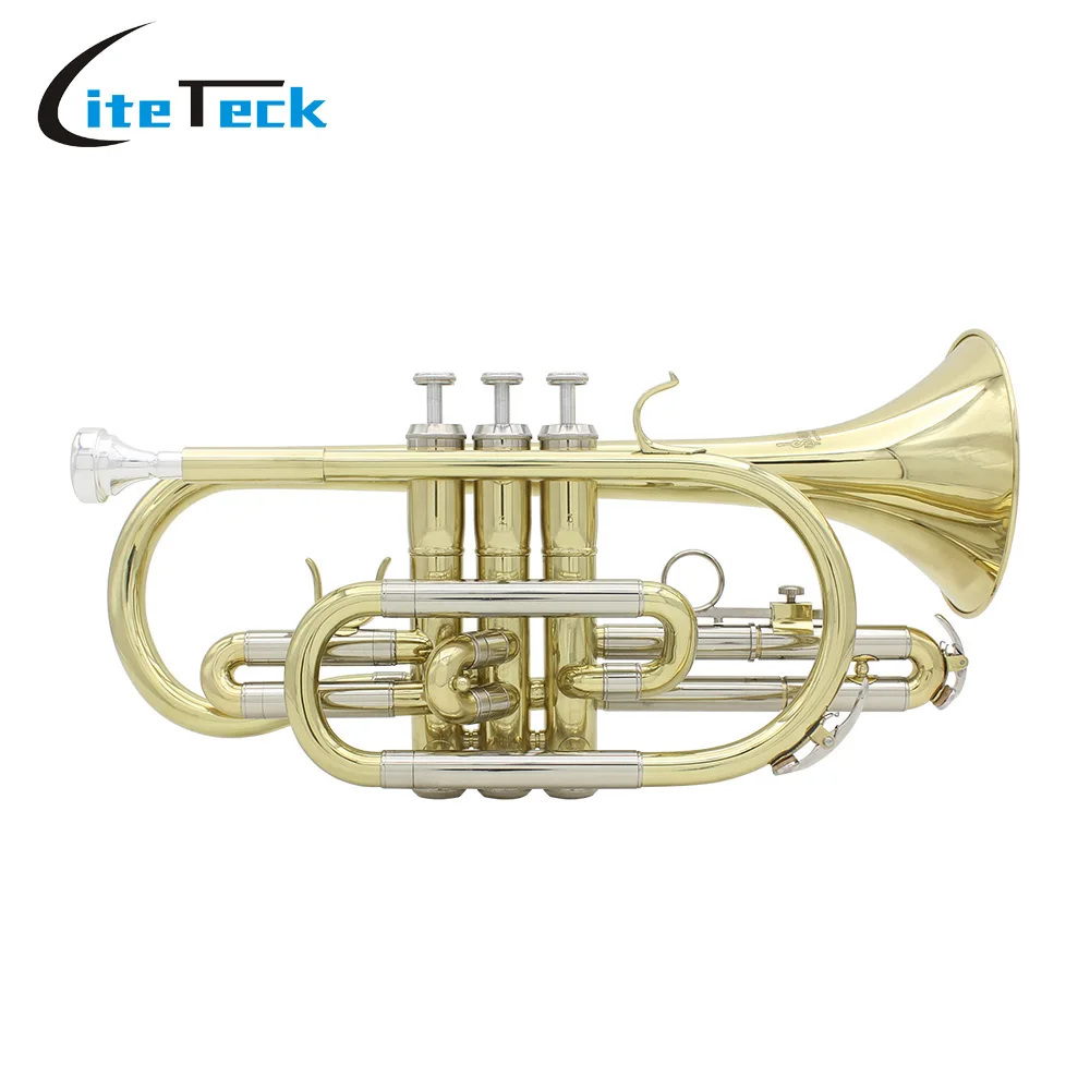 

Professional Bb Flat Cornet Brass Instrument with Carrying Case Gloves Cleaning Cloth Brushes Excellent Workmanship