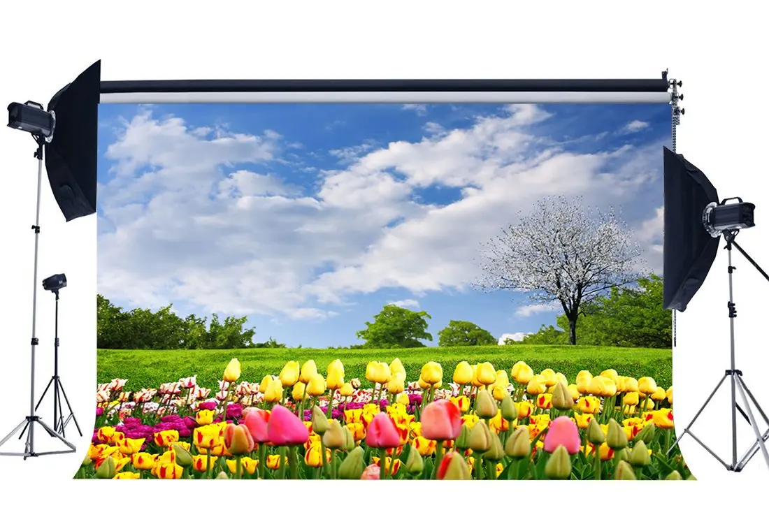 

Spring Backdrop Blooming Fresh Flowers Forest Trees Grass Meadow Blue Sky White Cloud Background