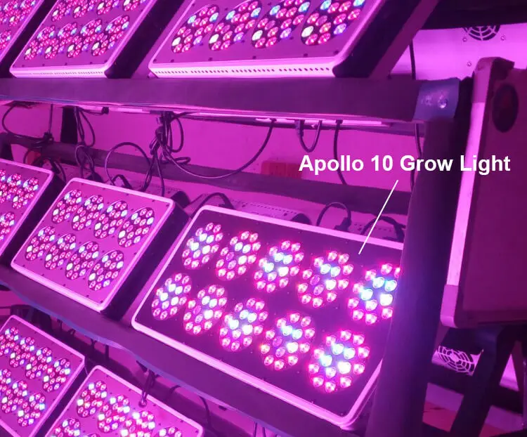 JCBritw-Apollo-10-LED-Grow-Light-14