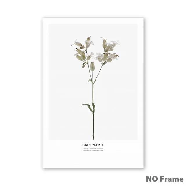 Simple-Nordic-Flower-Lotus-Brassica-Magnolia-Canvas-Art-Prints-posters-Living-Room-Wall-Pictures-Home-Decor.jpg_640x640 (5)