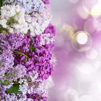 

Picturesque Photography backdrops vinyl flowers bokeh photography background vinyl For kids Photography Studio accessories