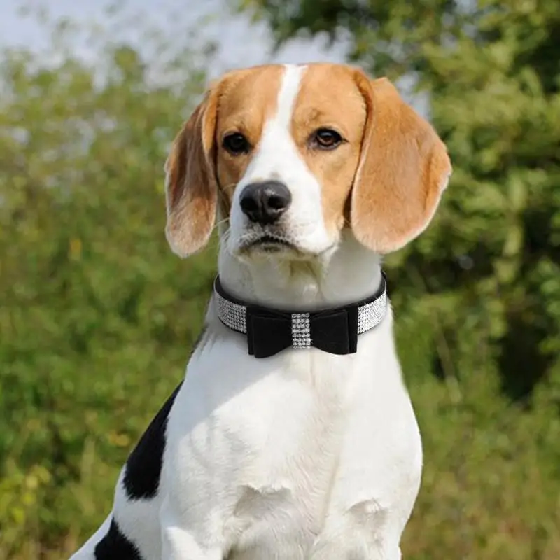 Бриллианты Pet Ошейник Поводок из мягкой замши ошейник для щенков, собак кошка со стразами ожерелье с бантиком поводки маленьких средних