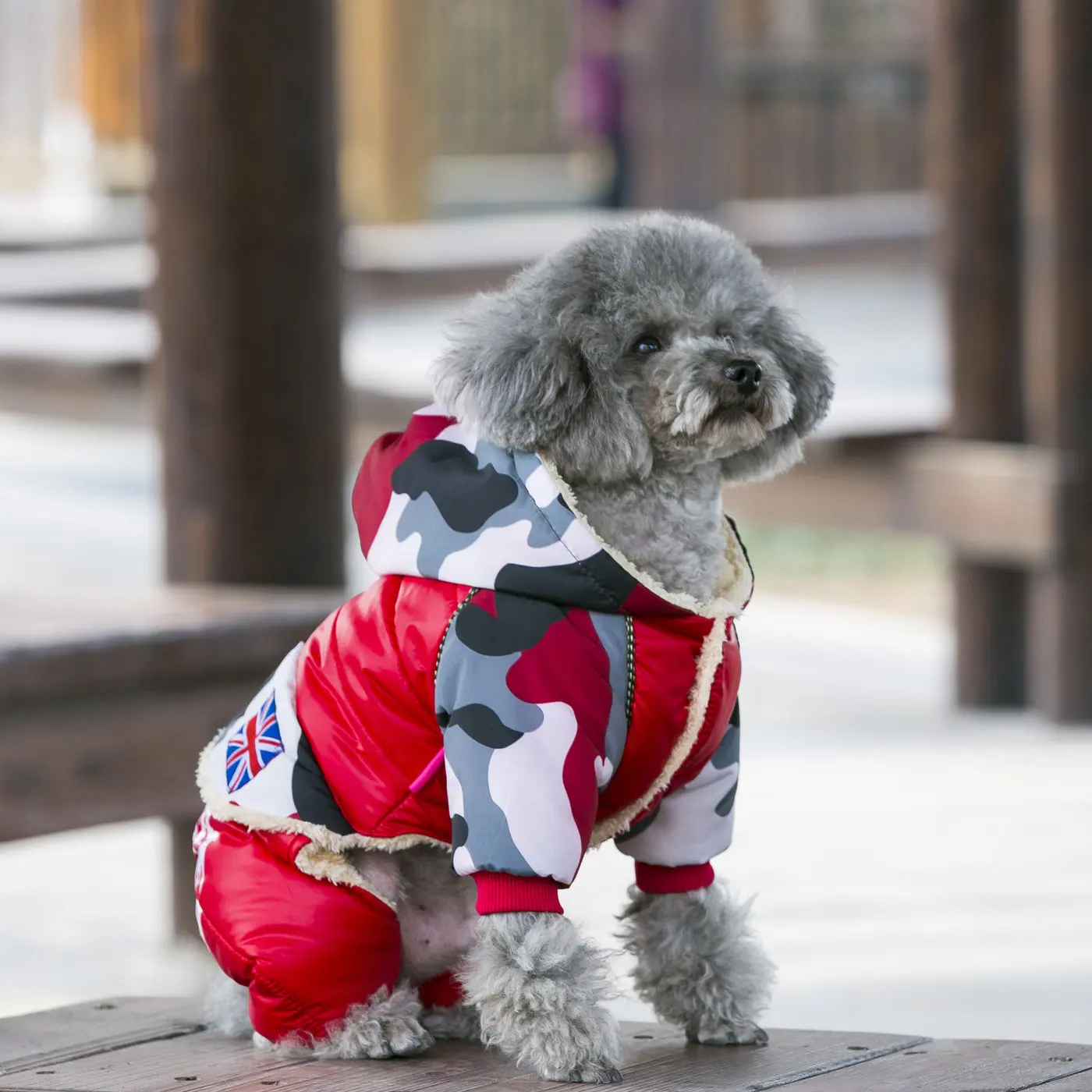 Новое камуфляжное зимнее пальто тренировочный костюм для собак водонепроницаемая одежда для собак модная одежда для Тедди Чихуахуа розовый синий красный зеленый черный 5 размеров