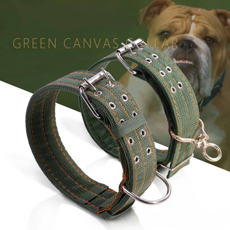 strong dog collars and leads