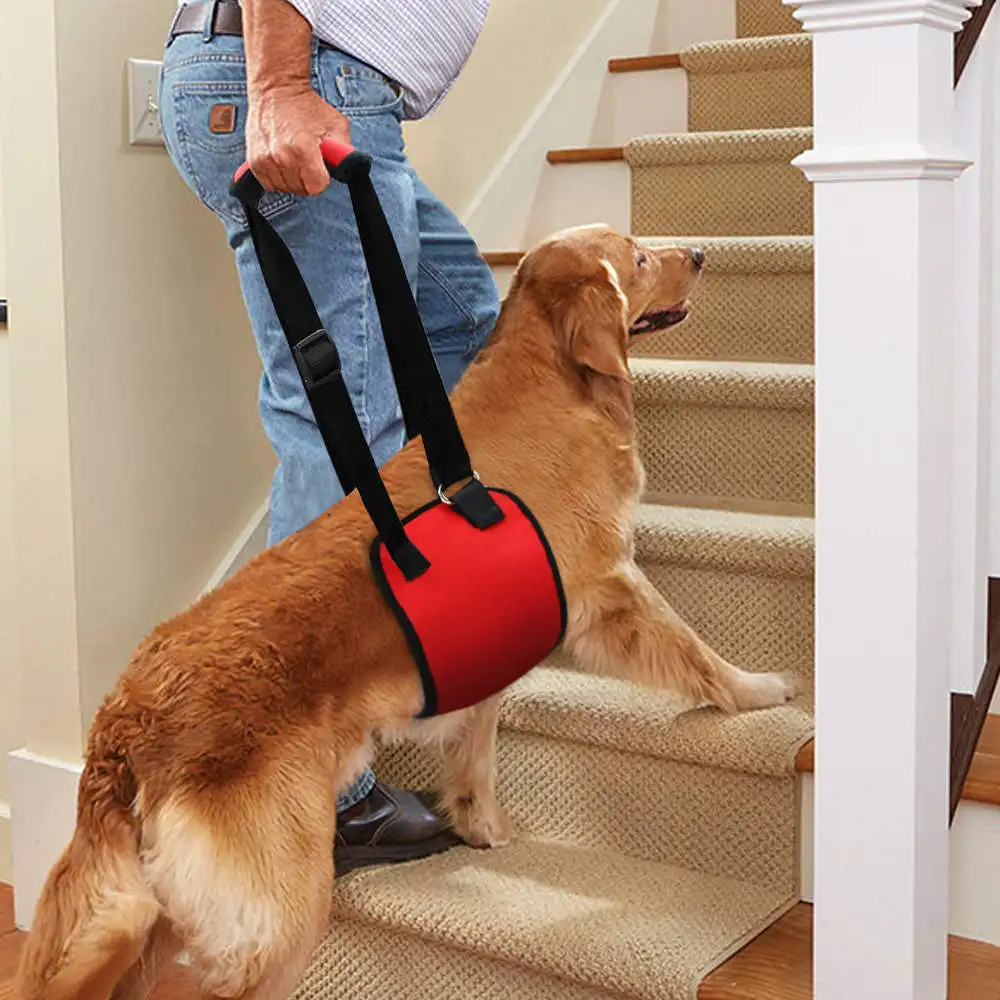 Dog Harness PY0015-6