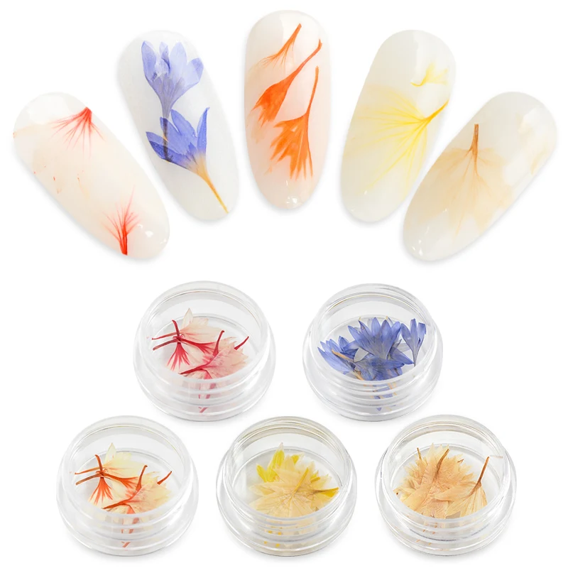 

Mtssii 1Box Blue Nail Dried Flowers Nail Art Decoration DIY Tips with Box Small Flowers Nails Rhinestones For Manicure Tools