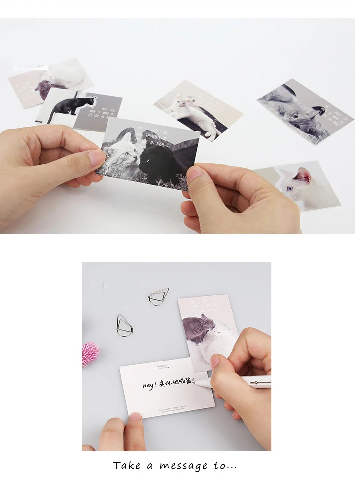 4431151075_505222120