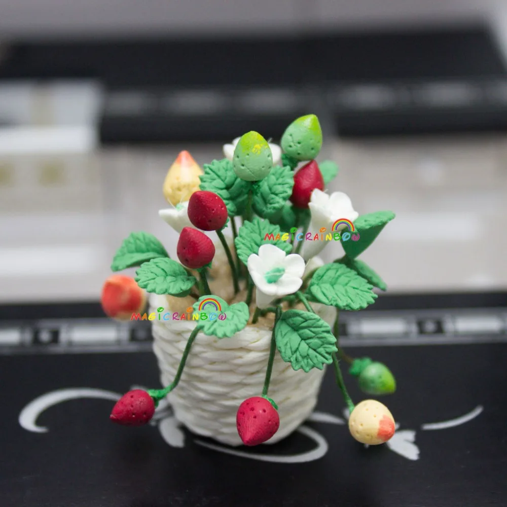 m_OP008 potted strawberry (2)