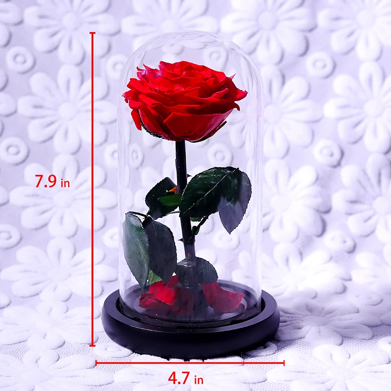 WR 1 набор Красота и чудовище красная роза в стеклянном куполе подарки на день Святого Валентина украшение стола вечные цветы для подруги