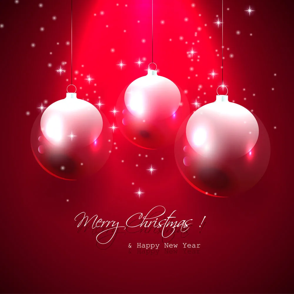

10x10ft Christmas backdrop Vinyl Photography Backdrops Custom Photography Background SDR108