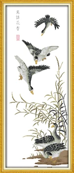 

Brids and flowers counted printed on fabric DMC 14CT 11CT Cross Stitch kitsembroidery needlework Sets Home Decor