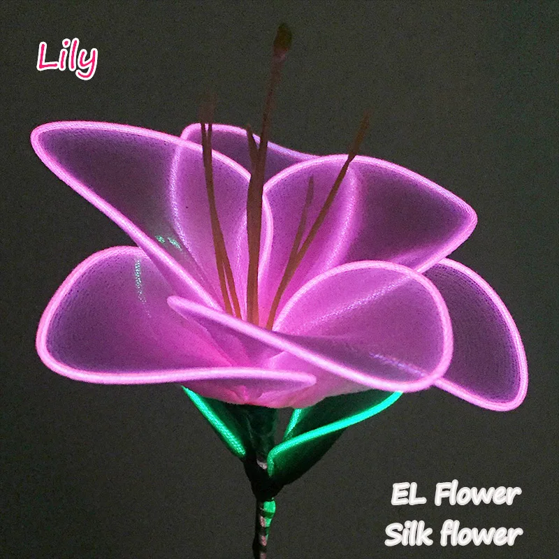 12 Stype Glittery Neon LED Viridulum Hana Holiday lighting light silk flower Sparkling EL wire Flower for wedding,Party Supplies 12 Stype Glittery Neon LED Viridulum Hana Holiday lighting light silk flower Sparkling EL wire Flower for wedding,Party Supplies
