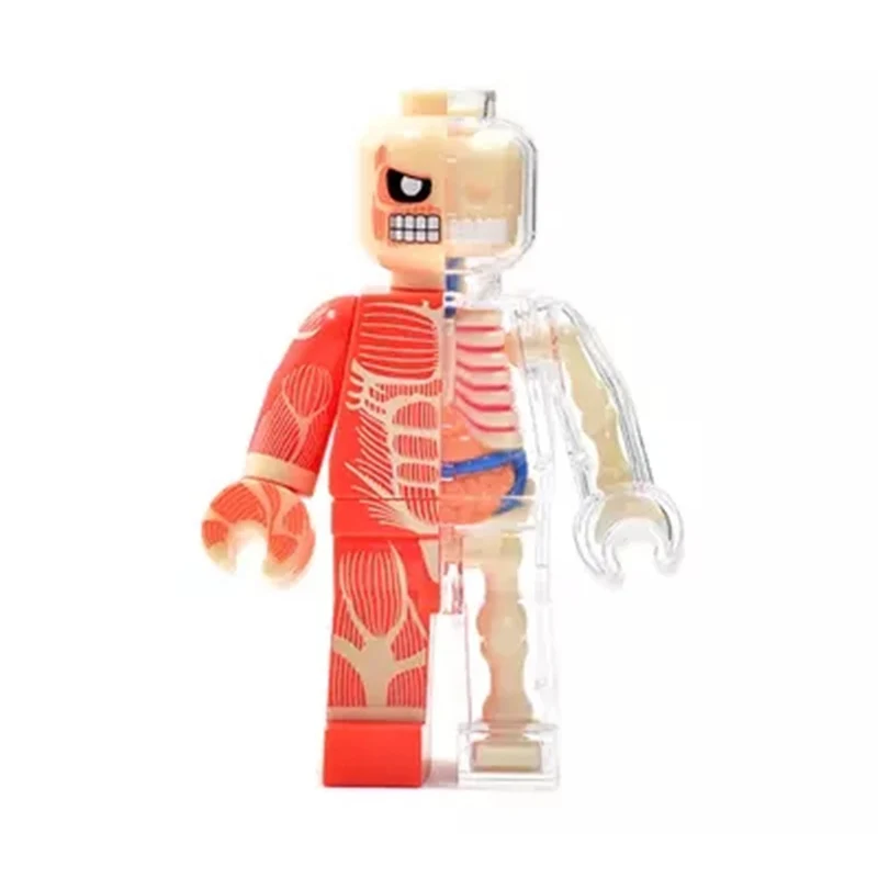 4D Fashion brick man Intelligence Assembling Toy toy Perspective Anatomy Model DIY Popular Science Appliances | Канцтовары для