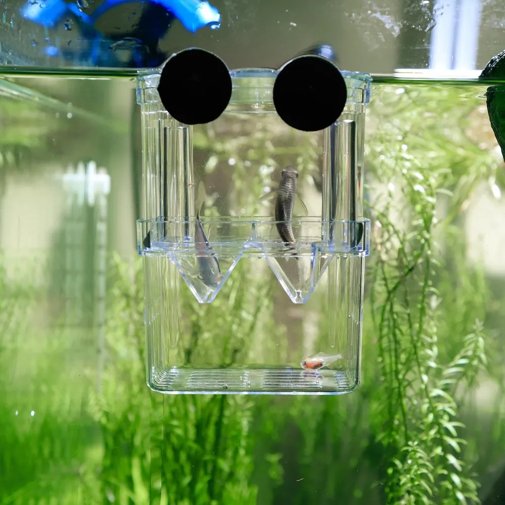 

Multifunctional Sucker Aquarium Breeder Box Double Hatching Double layer Transparent Fish Breeding Box self floating incubator