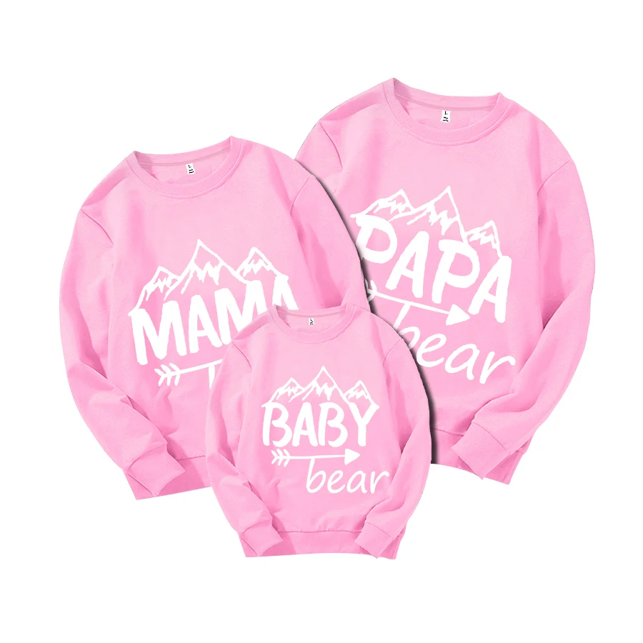 Комплект одинаковых толстовок с медведем для папы, мамы, малыша, подросткового папы, мамы, персонализированных пуловеров