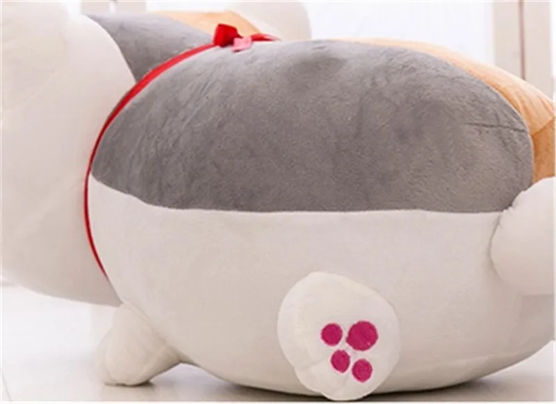 cat1