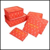 conew_6pcs-summer-style-travel-save-the-package-set-for-clothes-tidy-organizer-pouch-suitcase-handbag-waterproof.jpg_200x200(1)