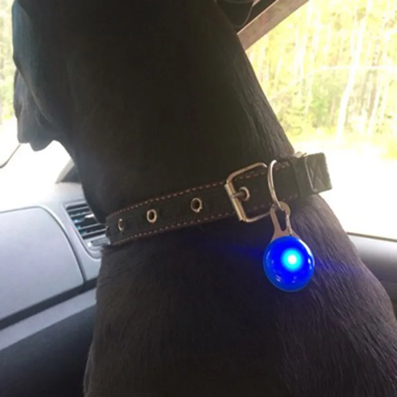 Светодиодный светильник ошейник для питомца собаки Безопасный светящийся светодиодный мигающий светильник s шейный ремень Подвеска Ожерелье для питомца светящийся Яркий светящийся ошейник