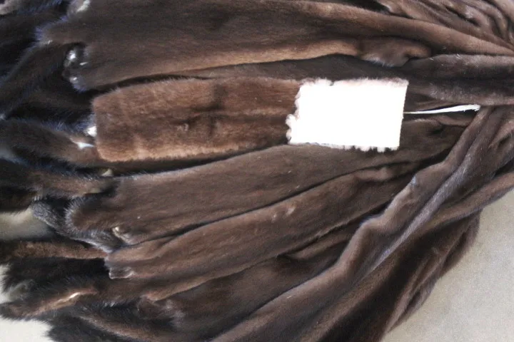 IMG_1536
