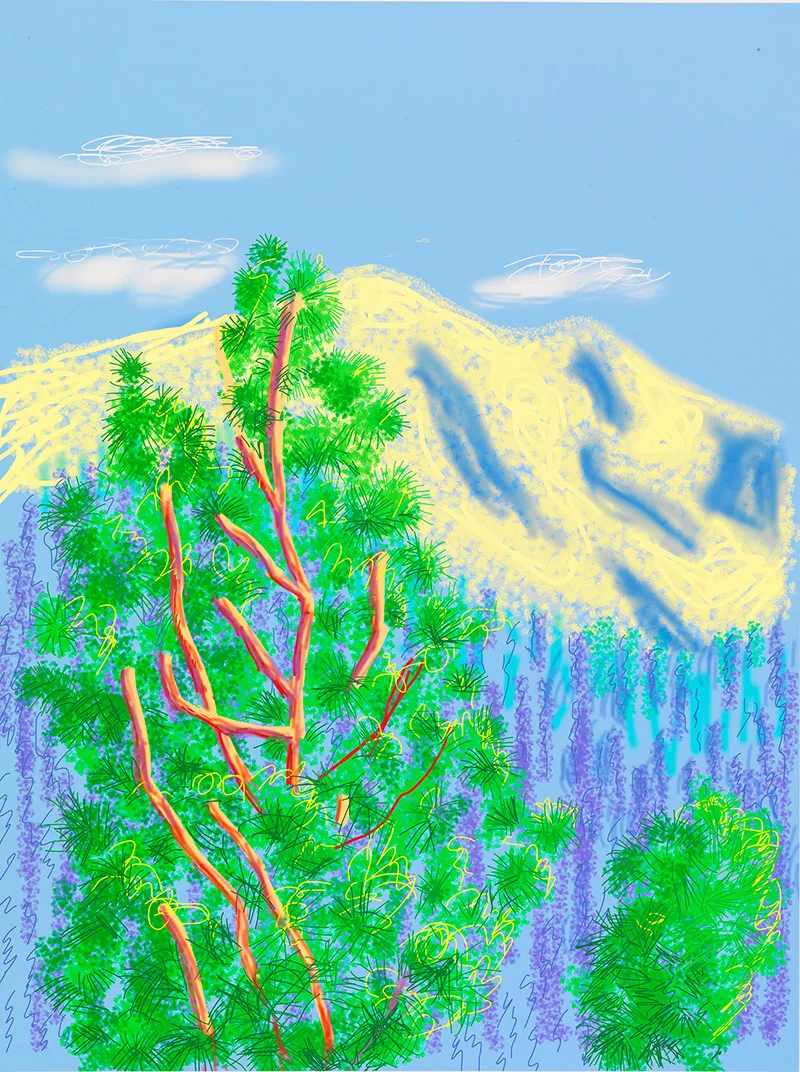 2010Yosemite National Park.Untitled.No.09