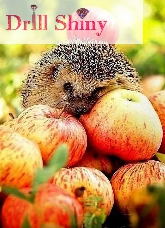 

Diy diamond painting cross stitch kit Diamond embroidery hedgehog Crafts Needlework The whole square diamond Mosaic