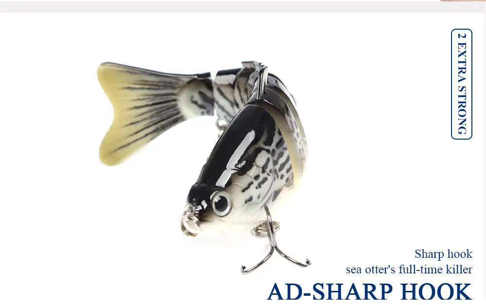 9538602109_1443486317