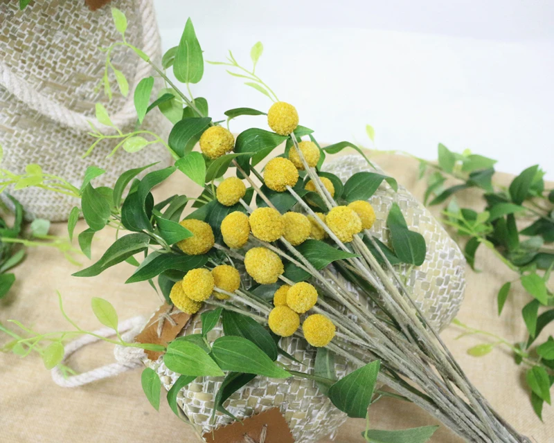 JAROWN Natural Dried Flowers Gold Ball Eternal Flores For Wedding DIY Bouquet Decorations Home Flower Arrangement Art (7)