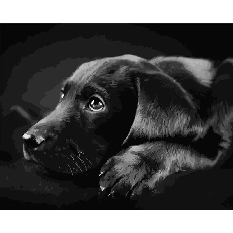 

Painting By Numbers DIY Dropshipping 40x50 50x65cm Black Labrador Retriever Animal Canvas Wedding Decoration Art picture Gift
