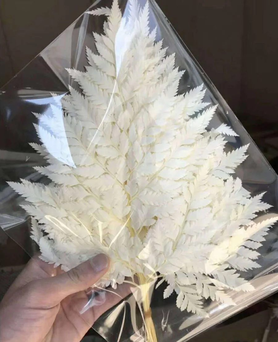 --white