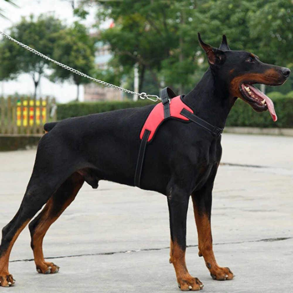 Регулируемый поводок для собаки ошейник леопардовой расцветки домашних