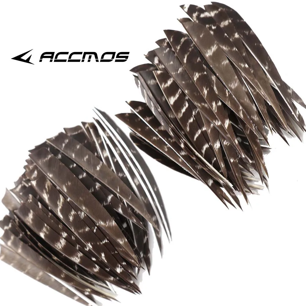 Plumes de Dinde Naturelles de 3 Pouces,50 Pièces,Bouclier,Tir à l'Arc
