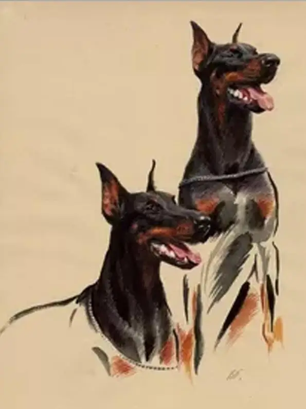 5D алмазная вышивка крестиком, Doberman Pinscher, DIY Алмазная вышивка, полная квадратная 3D Алмазная мозаика, стразы, Новое поступление