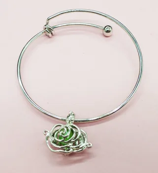 

Wholesale 10PCS most popular pearl cage pendants. Stainless steel bracelet,Give girl the most beautiful gift(cages random send )