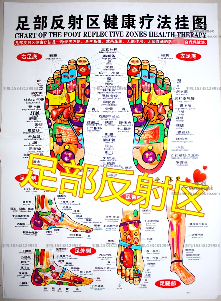 6pcs/set medical Meridian acupuncture wall charts human body meridian points diagrams hand-foot wall charts Scrapping flipchart 6pcs/set medical Meridian acupuncture wall charts human body meridian points diagrams hand-foot wall charts Scrapping flipchart