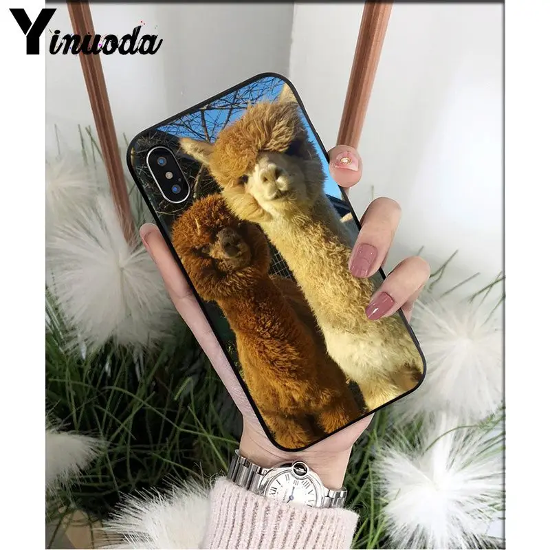 Yinuoda лама Alpacas животное умный чехол черный мягкий чехол для телефона для iPhone X XS MAX 6 6S 7 7plus 8 8Plus 5 5S XR