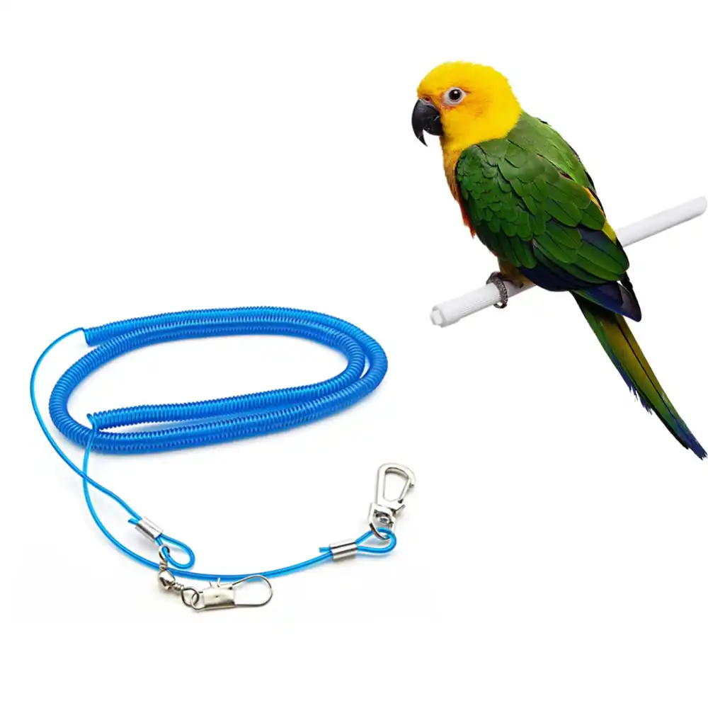 parrot leg leash